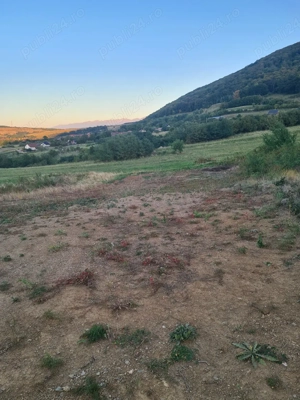 teren extravilan 14 m deschidere!! - imagine 6