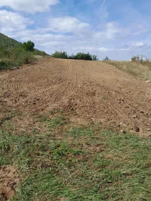 teren extravilan 14 m deschidere!! - imagine 7