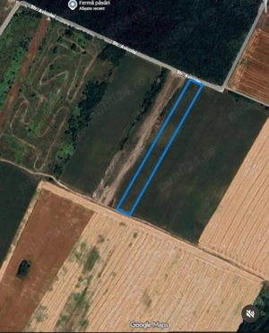 Teren intravilan Chiajna  - imagine 3