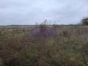 Teren  intravilan langa padure