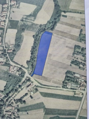 vând parcele de teren in Lugasu de Sus  - imagine 2