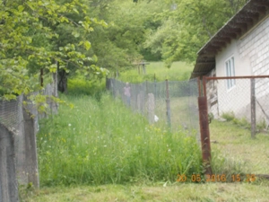 Teren Bicaz Neamt  - imagine 6