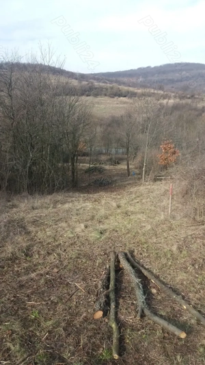 Vand teren arabil extravilan - imagine 3