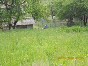 Teren Bicaz Neamt  - imagine 9