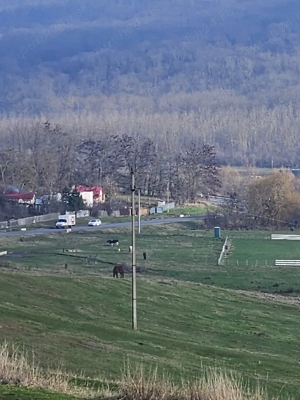 Vand Teren extravilan 7200 mp deschidere E581 - Cretestii de Sus  Husi, Vaslui