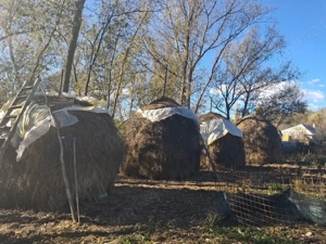 vand caruta,baloti si stoguri   - imagine 3