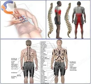 Masaj Terapeutic și Reflexoterapie la domiciliul clientului 