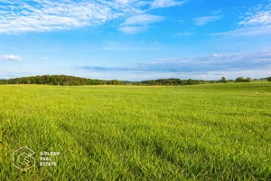 Teren extravilan, 23 400 mp, Cuvin (Ghioroc)