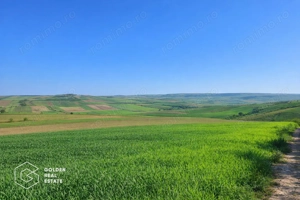 Teren extravilan, categoria ,,vie'', Cuvin