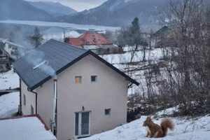 Liziera Cabin Malaia  - imagine 3