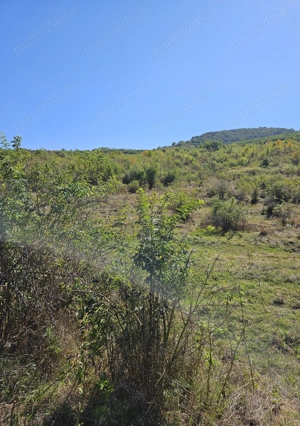 Vand Teren extravilan 7200 mp deschidere E581 - Cretestii de Sus  Husi, Vaslui - imagine 9