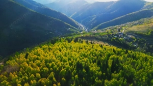 Cabana de vânzare în Munții Apuseni – Valea Ierii, jud. Cluj - imagine 12