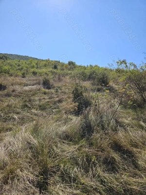 Vand Teren extravilan 7200 mp deschidere E581 - Cretestii de Sus  Husi, Vaslui - imagine 5