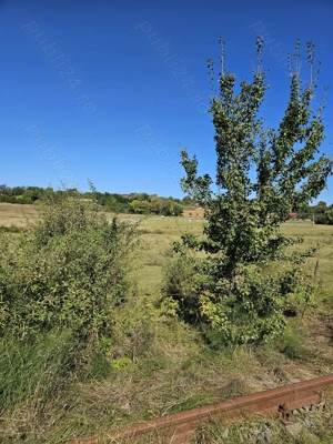 Vand Teren extravilan 7200 mp deschidere E581 - Cretestii de Sus  Husi, Vaslui - imagine 7