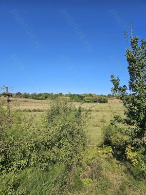 Vand Teren extravilan 7200 mp deschidere E581 - Cretestii de Sus  Husi, Vaslui - imagine 8