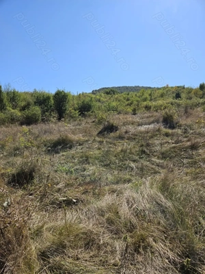 Vand Teren extravilan 7200 mp deschidere E581 - Cretestii de Sus  Husi, Vaslui - imagine 6