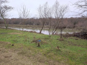 Teren Intravilan Baltenii de jos - imagine 6