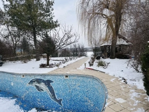 Resedinta emblematica in Chiajna-Rosu pe malul lacului, 785 mp, 2500 mp teren  - imagine 5