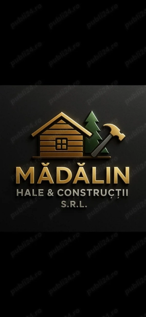 Case din lemn moderne, construite pentru viitor