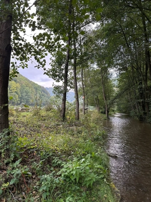 teren de vanzare ideal pentru pensiune, camping, etc. - imagine 2