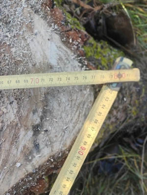 Vând lemne de foc - plop și răchită - imagine 4