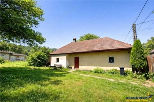 FILM  Tur 3D! Casa cu gradina, pomi fructiferi, fantana, Zagon, Covasna