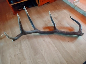 vand   CORN - imagine 5