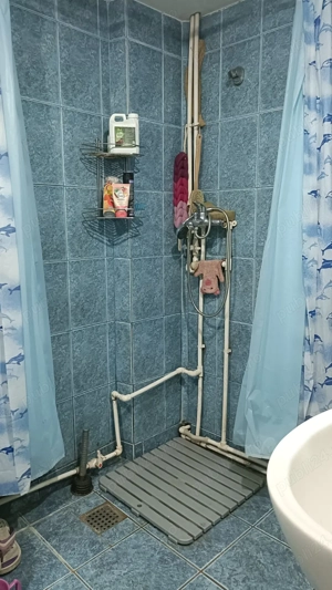 Casa    Budesti   Ruda   - imagine 10