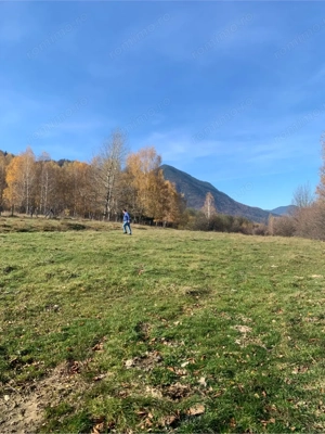Vand 1000 m teren Tohanița, vedere superba Bucegi si Piatra Craiului - imagine 3