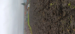 Teren intravilan  - imagine 4