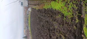 Teren intravilan  - imagine 2