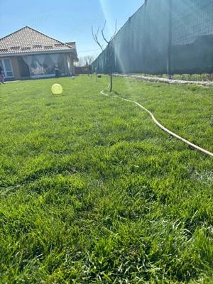 Casă premium lângă Codrii Vlăsiei și Lacul Căldărușani   aer curat, liniște, 1.000 mp teren - imagine 2