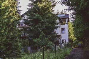 Inchiriez cabana in Colibita - imagine 2