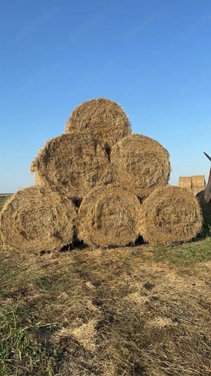 Baloti mari de paie - imagine 3