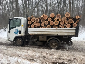 Vând lemne,esenta tare la cel mai bun pret