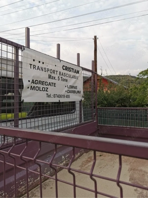 Transport basculabil 5tone - imagine 3