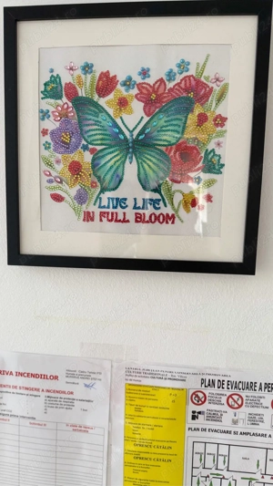 Tablouri cu diamante - imagine 4