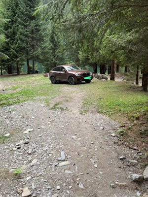 Vand Bmw X4 - imagine 10