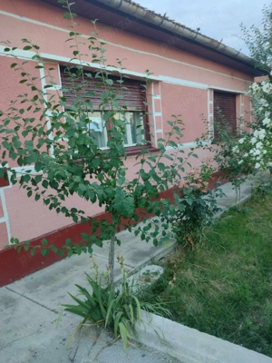 casă de vânzare  - imagine 2