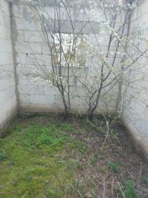 Casă în construcție Movila Ialomița - imagine 2