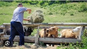 Locuri de muncă în Elveția -Fermă  privata de animale  - imagine 2