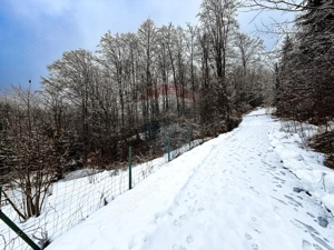 Teren 1,794mp Moroeni / Strada Lespezi - imagine 6