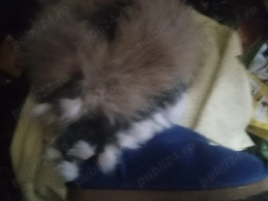 vanzare cizme albastre piele intoarsa cu blana vulpe