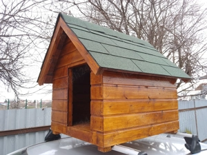 Cusca caine din lemn izolata - imagine 2