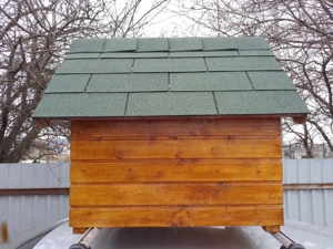 Cusca caine din lemn izolata - imagine 3