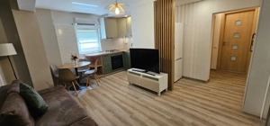 Apartament 2 camere zona DECEBAL - imagine 4