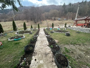 Casa Pensiunea Gura Milii situata in Jud. Buzau Gura Teghii Varlaam - imagine 7