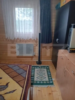 Cabană + teren generos, 60 mp utili, 30 km de Deva - Boz - imagine 15