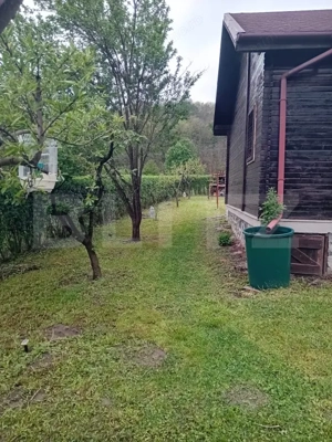 Cabană + teren generos, 60 mp utili, 30 km de Deva - Boz - imagine 7