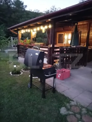 Cabană + teren generos, 60 mp utili, 30 km de Deva - Boz - imagine 9